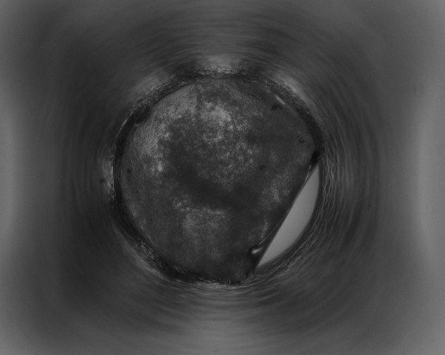 X0000086970500200705071359