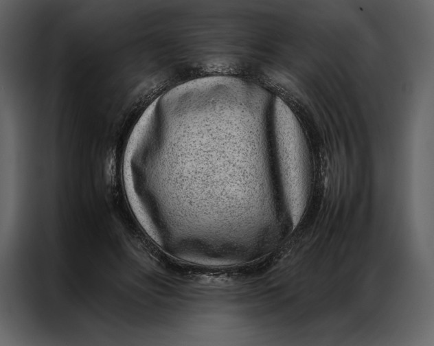 X0000086970502200705071359