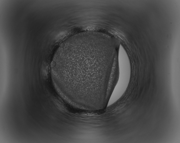 X0000086970503200705071359