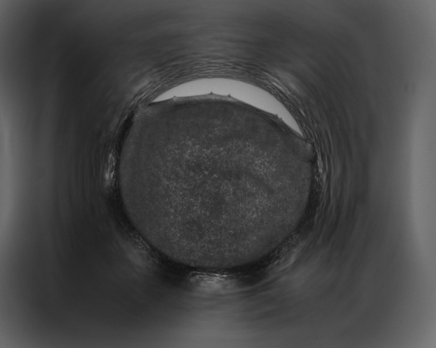 X0000086970507200705071359