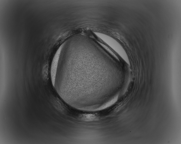 X0000086970509200705071359