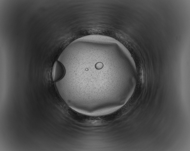 X0000086970514200705071359