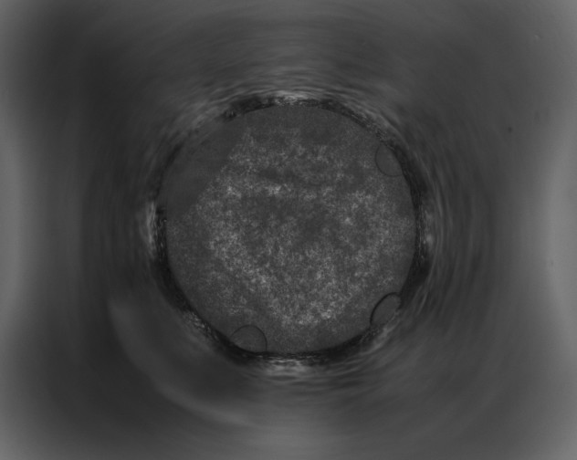 X0000086970519200705071359