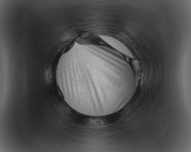 X0000086970520200705071359