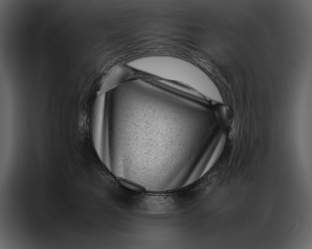 X0000086970521200705071359