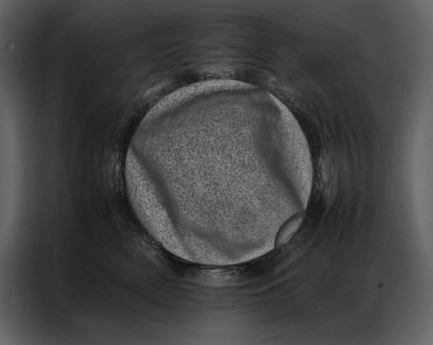 X0000086970522200705071359