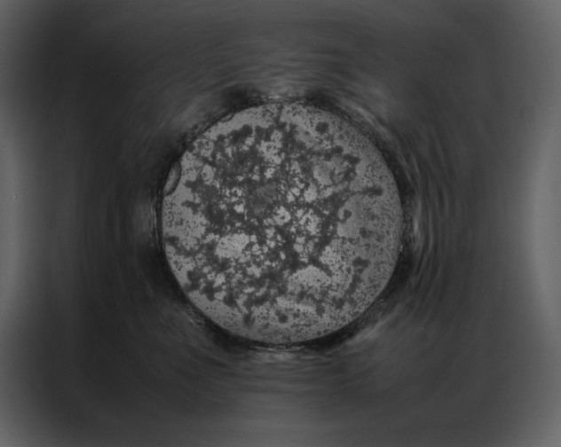 X0000086970523200705071359