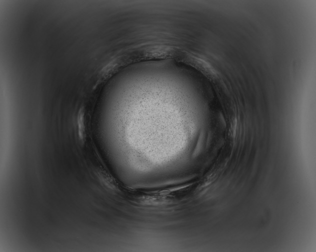 X0000086970524200705071359