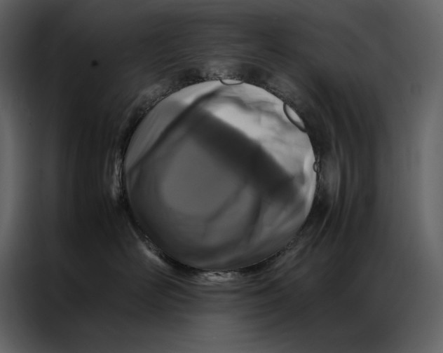 X0000086970526200705071359