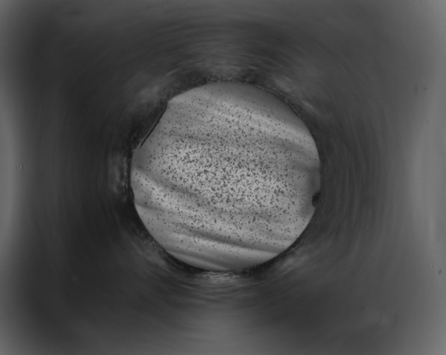 X0000086970528200705071359