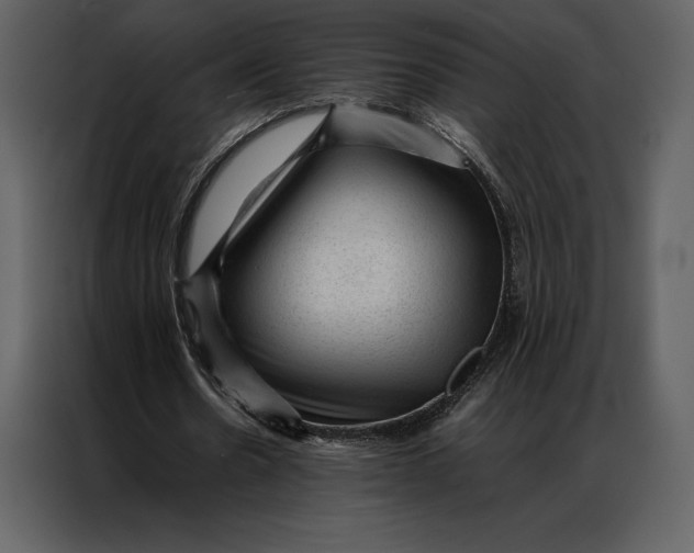 X0000086970530200705071358