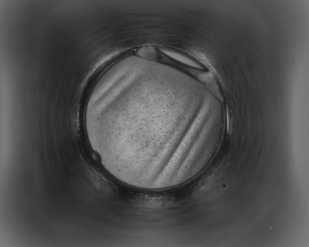 X0000086970531200705071358