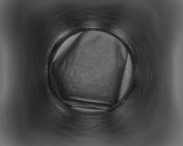 X0000086970535200705071359