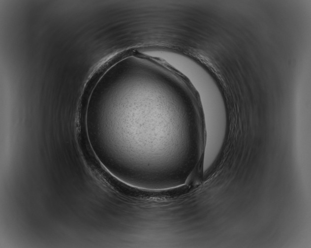 X0000086970536200705071359