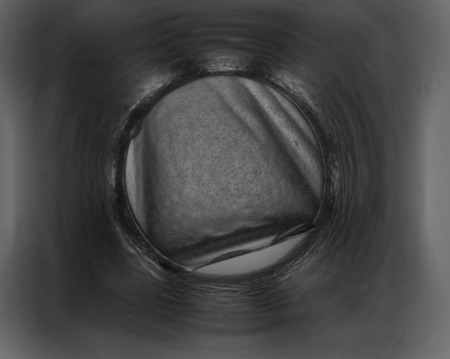 X0000086970539200705071359