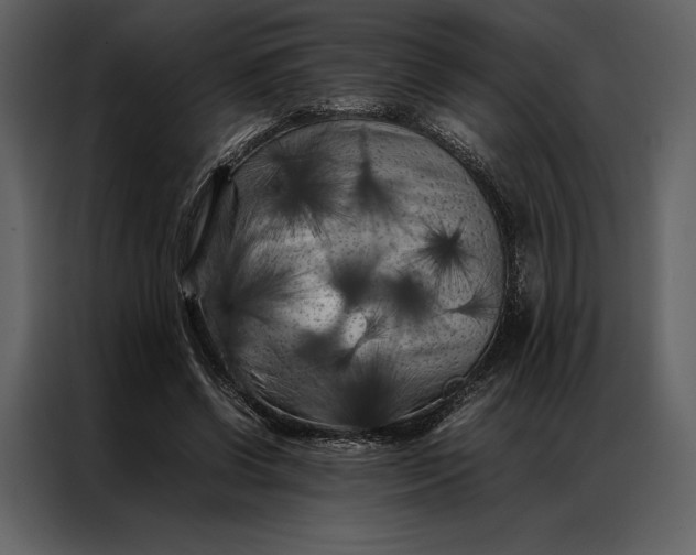 X0000086970542200705071359