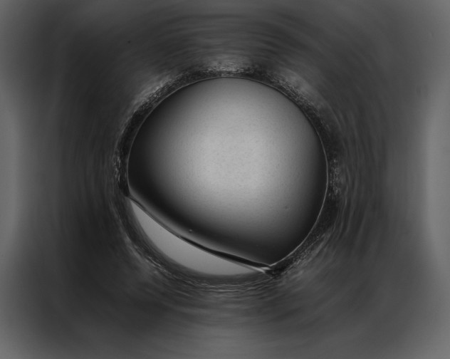 X0000086970544200705071359