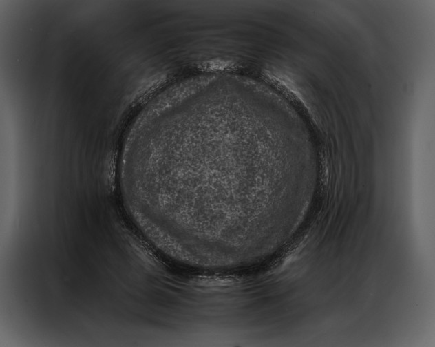 X0000086970545200705071359