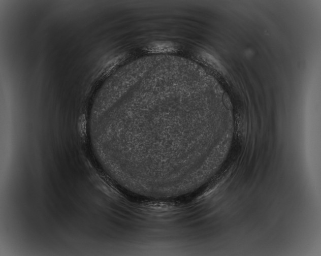 X0000086970549200705071359