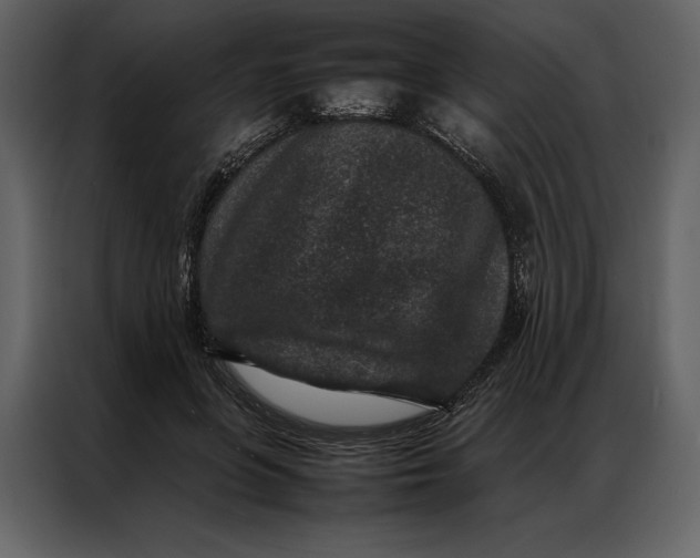 X0000086970551200705071359