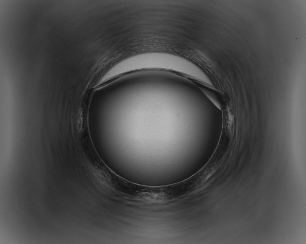 X0000086970552200705071359