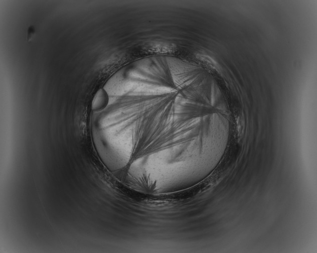 X0000086970553200705071359