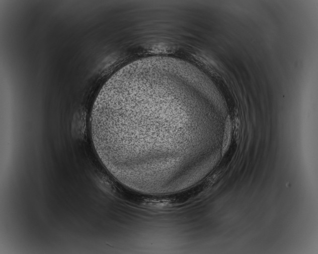 X0000086970554200705071359