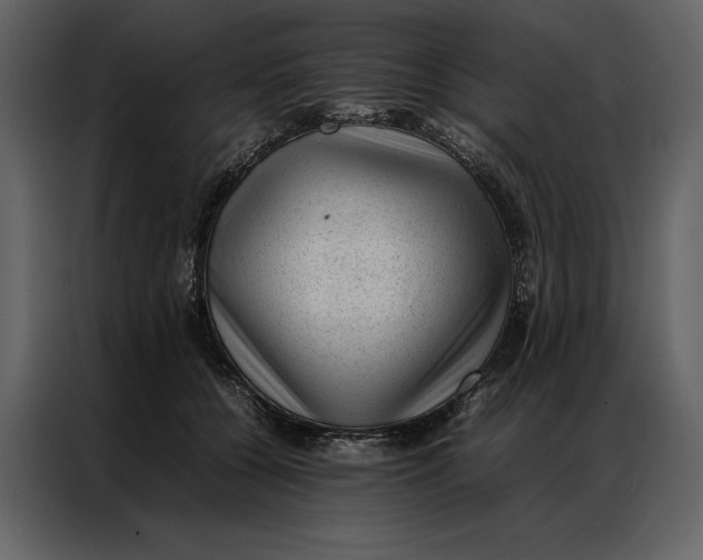 X0000086970560200705071359