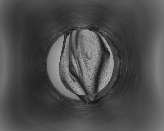 X0000086970564200705071359