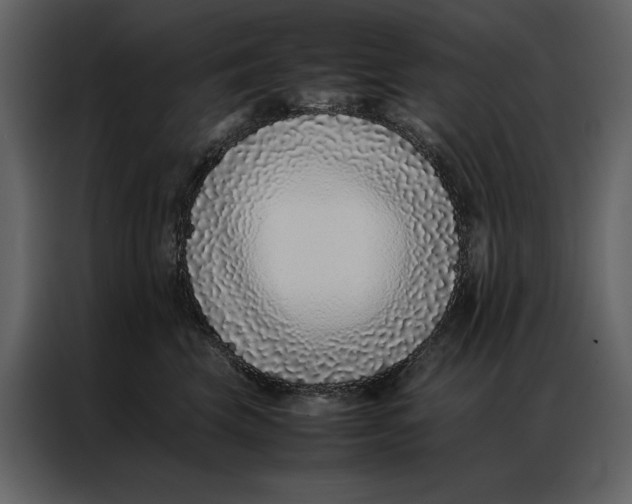 X0000086970569200705071359