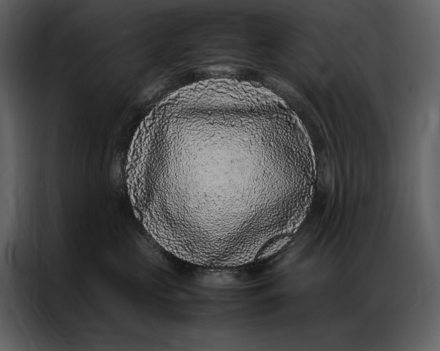 X0000086970573200705071359