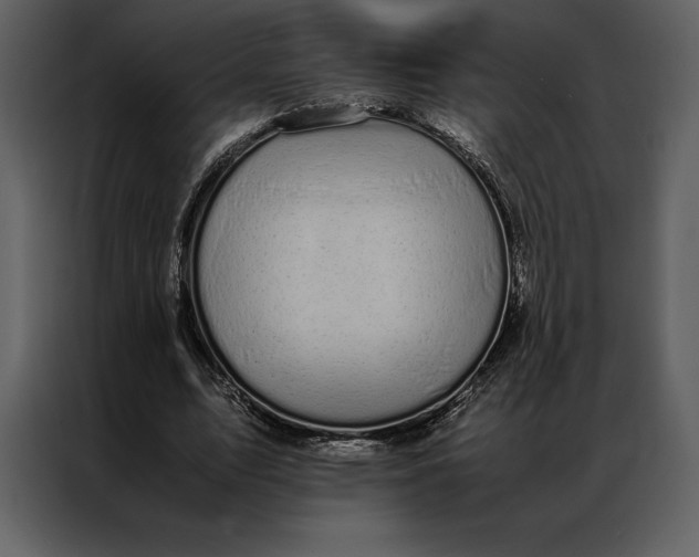 X0000086970583200705071358