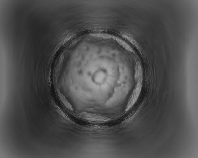 X0000086970585200705071358