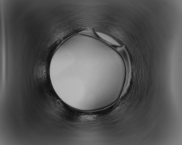 X0000086970595200705071358