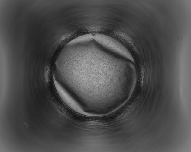 X0000086970596200705071358