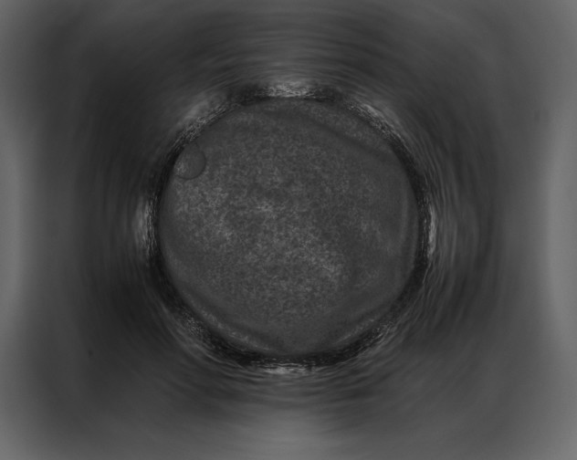 X0000086970598200705071358