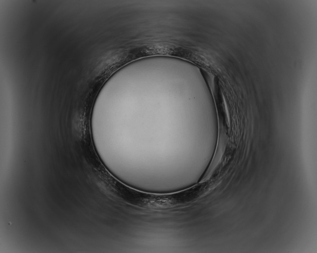 X0000086970599200705071358