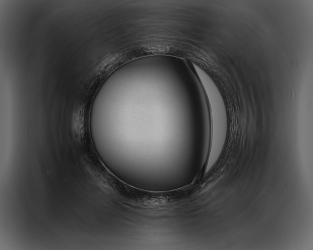 X0000086970600200705071358