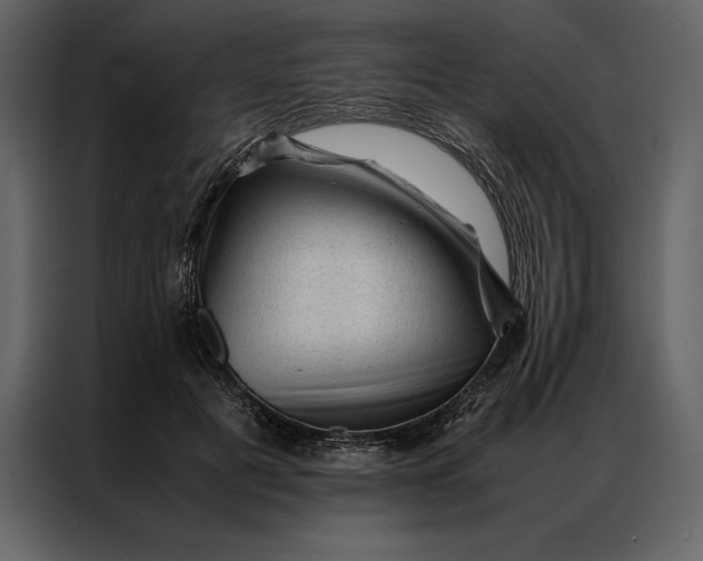 X0000086970601200705071358