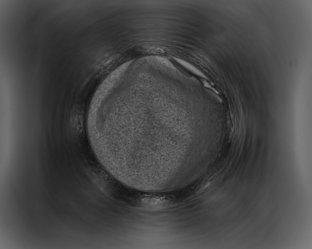 X0000086970602200705071358