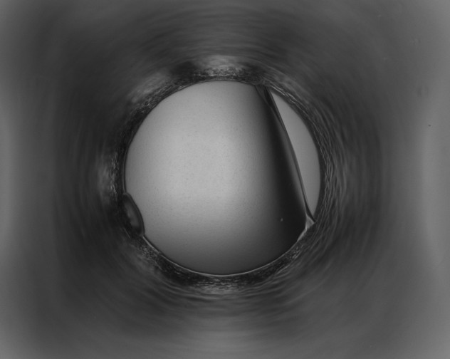 X0000086970604200705071358