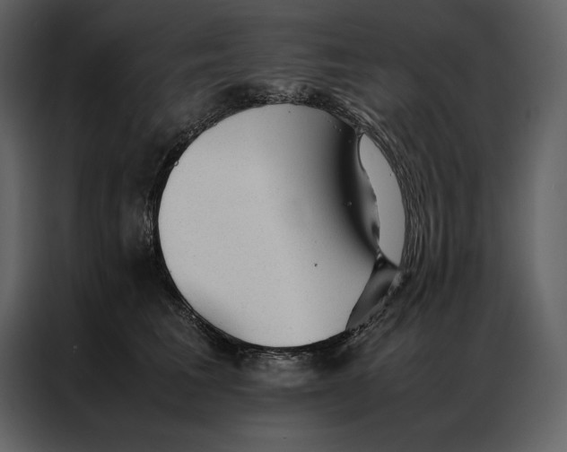 X0000086970613200705071358