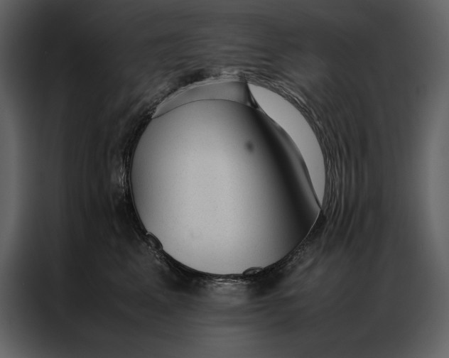 X0000086970617200705071358