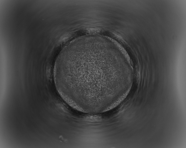 X0000086970619200705071358