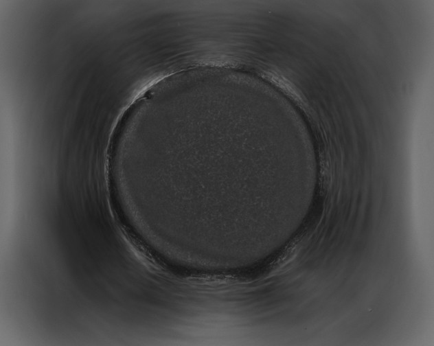 X0000086970626200705071357