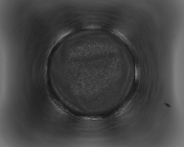 X0000086970627200705071357