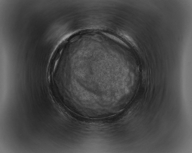 X0000086970628200705071357