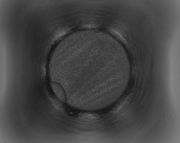 X0000086970635200705071357