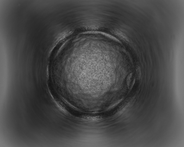 X0000086970638200705071357