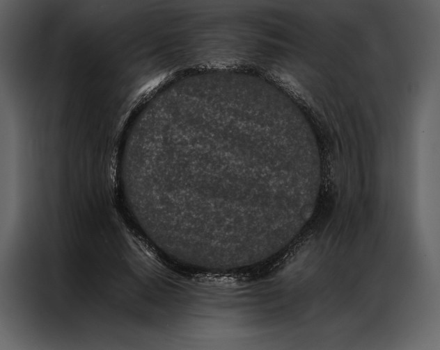 X0000086970640200705071357